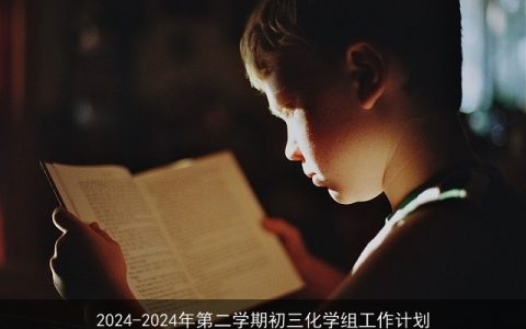 2024-2024年第二学期初三化学组工作计划