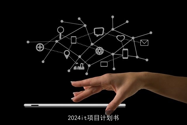 2024it项目计划书