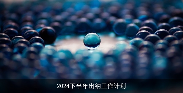 2024下半年出纳工作计划