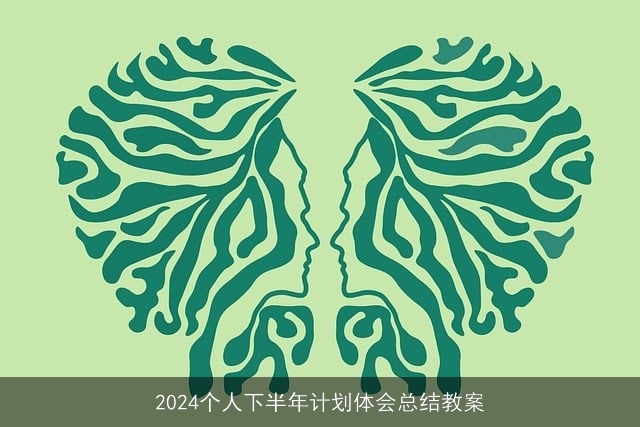 2024个人下半年计划体会总结教案