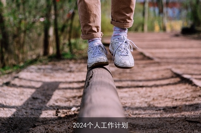 2024个人工作计划