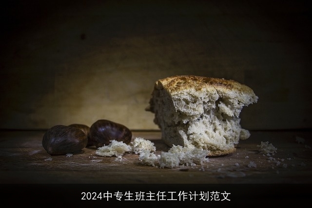 2024中专生班主任工作计划范文