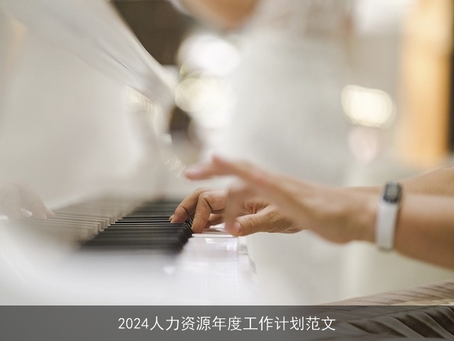 2024人力资源年度工作计划范文