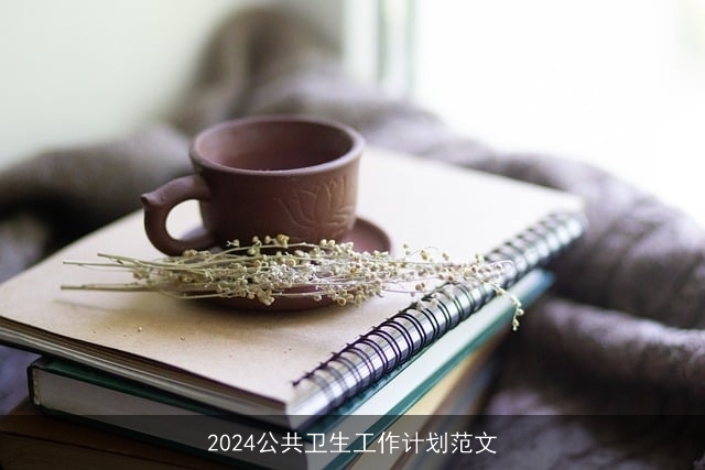 2024公共卫生工作计划范文