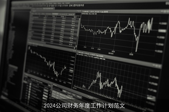 2024公司财务年度工作计划范文