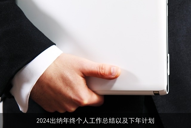 2024出纳年终个人工作总结以及下年计划