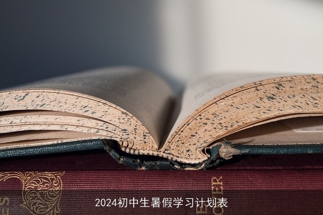 2024初中生暑假学习计划表