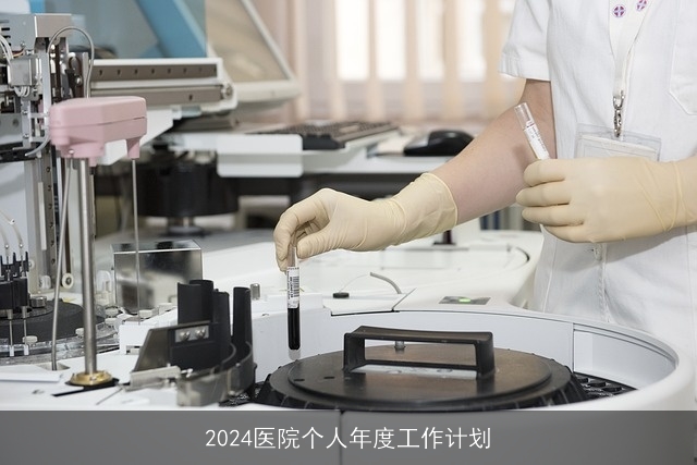 2024医院个人年度工作计划