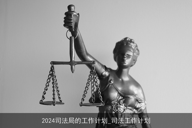 2024司法局的工作计划_司法工作计划