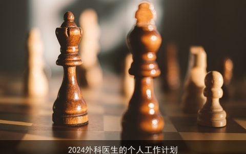 2024外科医生的个人工作计划