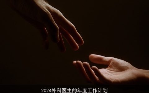 2024外科医生的年度工作计划