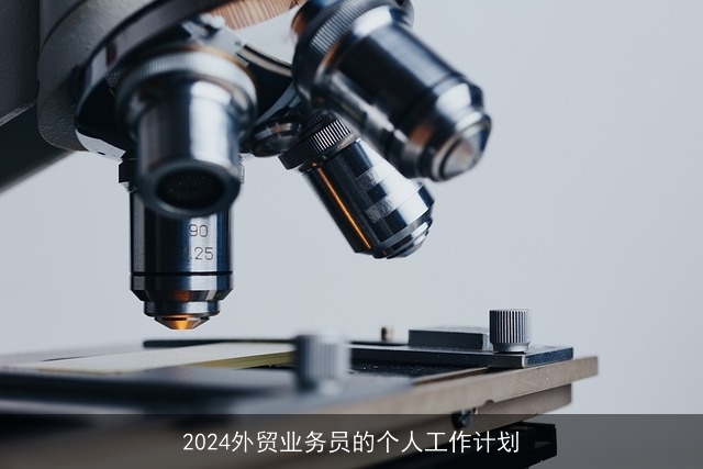 2024外贸业务员的个人工作计划