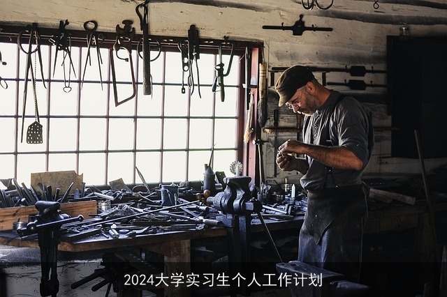 2024大学实习生个人工作计划