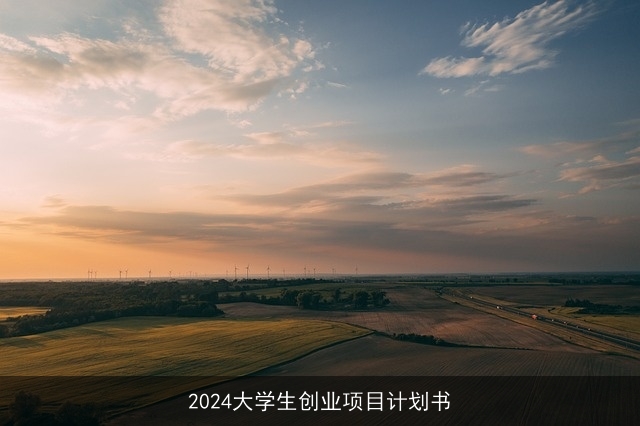 2024大学生创业项目计划书