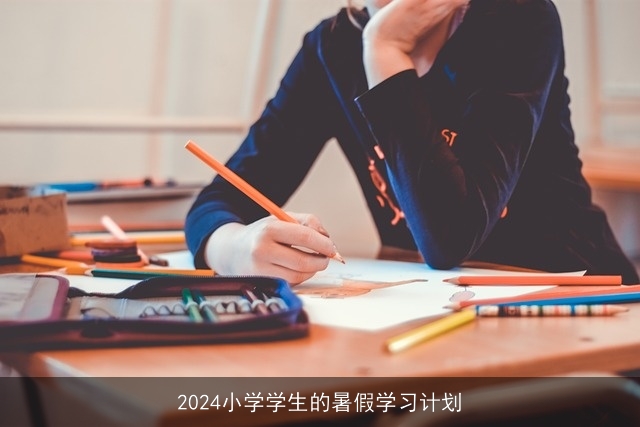 2024小学学生的暑假学习计划