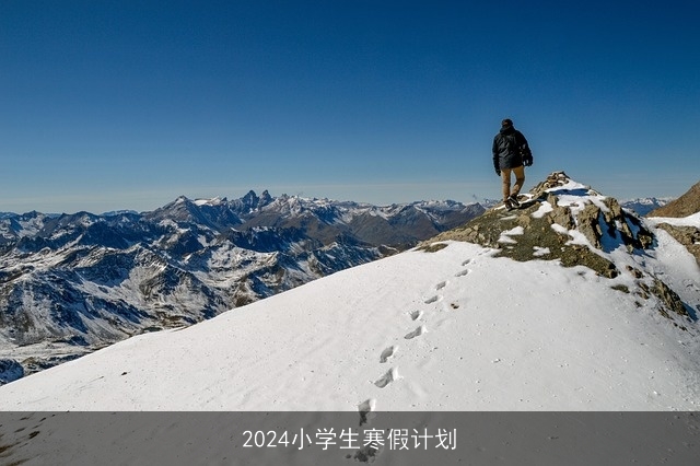 2024小学生寒假计划