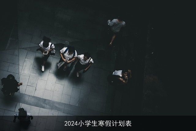 2024小学生寒假计划表