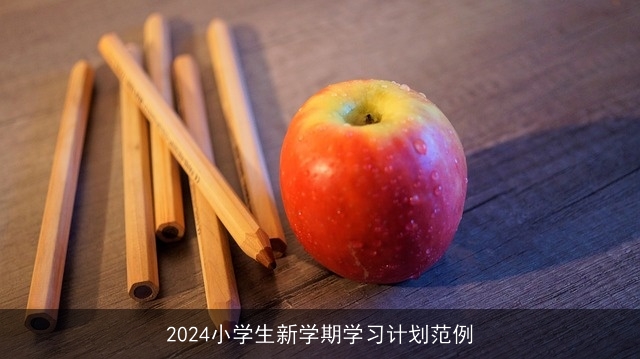 2024小学生新学期学习计划范例