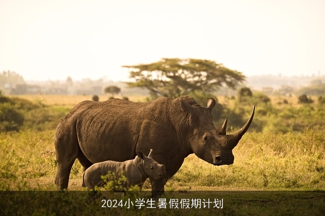 2024小学生暑假假期计划