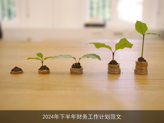 2024年下半年财务工作计划范文