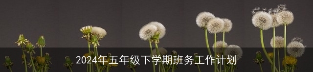 2024年五年级下学期班务工作计划