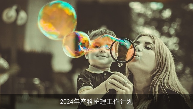 2024年产科护理工作计划