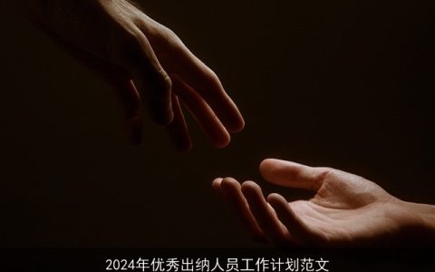 2024年优秀出纳人员工作计划范文