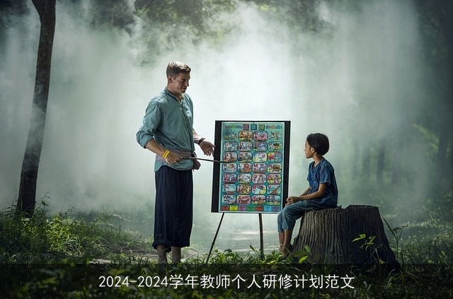 2024-2024学年教师个人研修计划范文