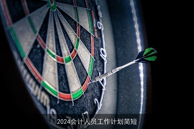 2024会计人员工作计划简短