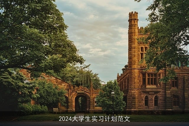 2024大学生实习计划范文