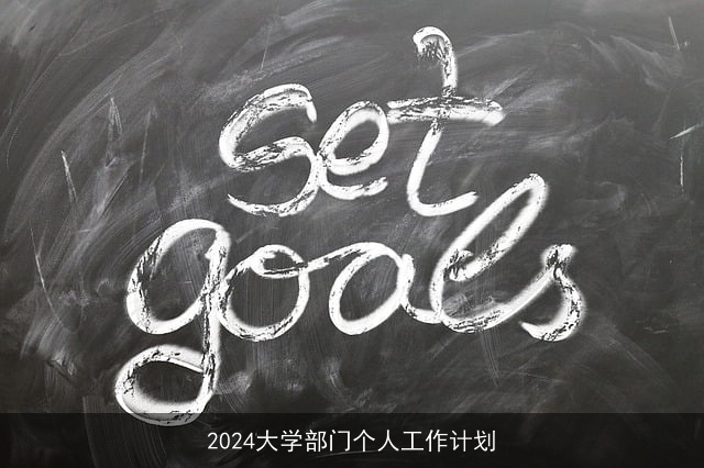 2024大学部门个人工作计划