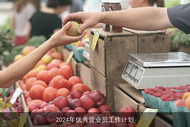 2024年优秀营业员工作计划