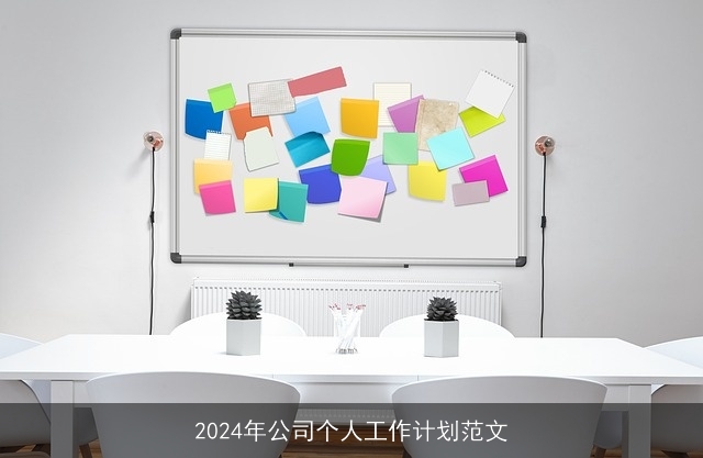 2024年公司个人工作计划范文