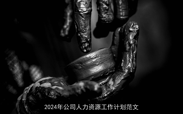 2024年公司人力资源工作计划范文