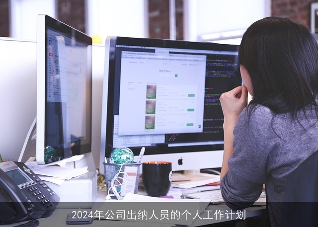 2024年公司出纳人员的个人工作计划