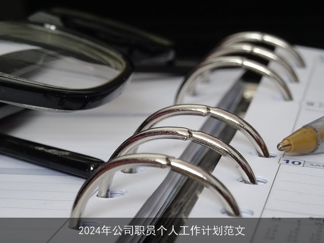 2024年公司职员个人工作计划范文