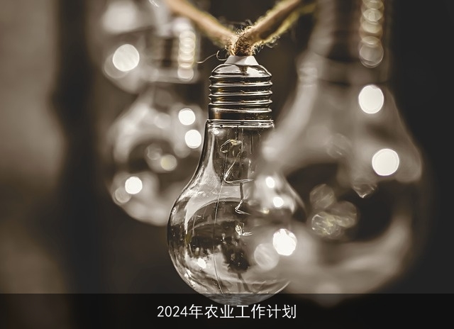 2024年农业工作计划