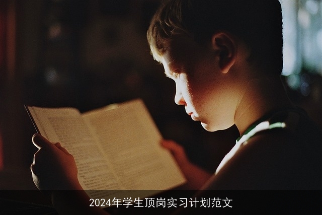 2024年学生顶岗实习计划范文