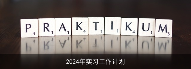 2024年实习工作计划