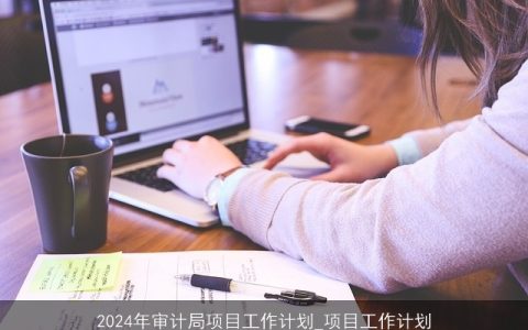 2024年审计局项目工作计划_项目工作计划