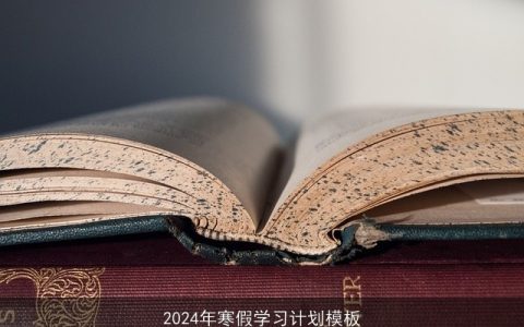 2024年寒假学习计划模板