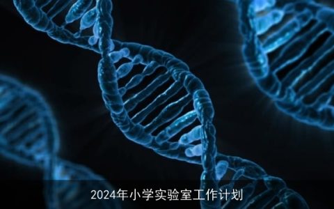 2024年小学实验室工作计划