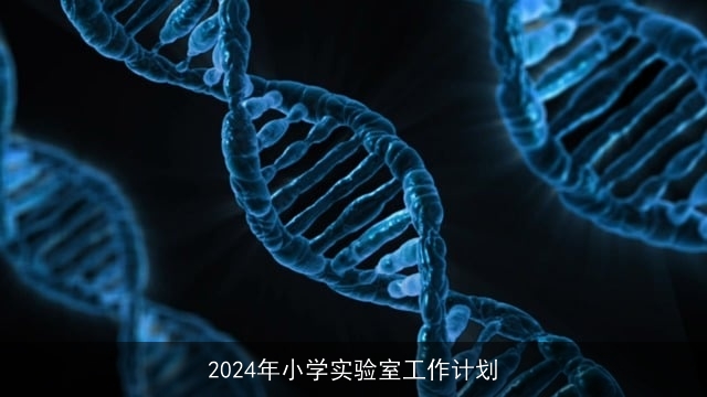 2024年小学实验室工作计划