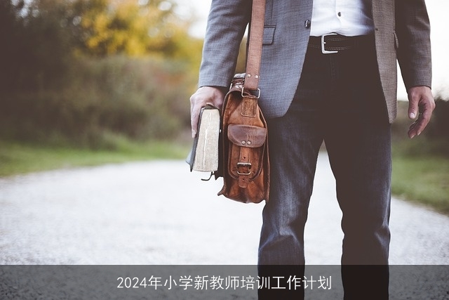 2024年小学新教师培训工作计划