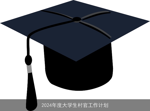 2024年度大学生村官工作计划