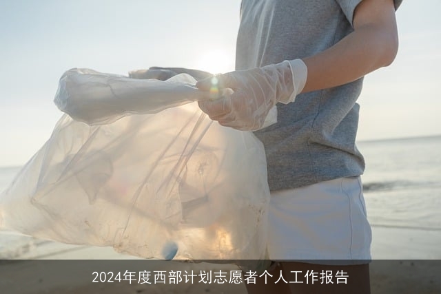 2024年度西部计划志愿者个人工作报告