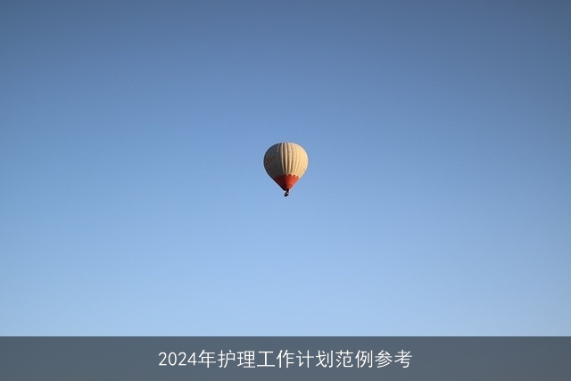 2024年护理工作计划范例参考