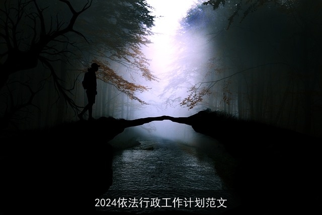 2024依法行政工作计划范文