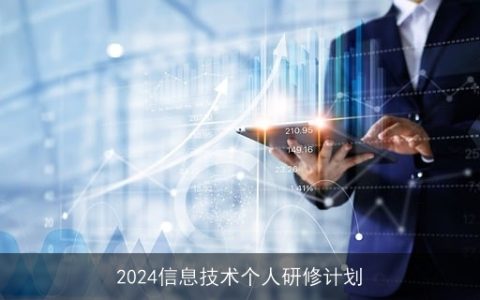 2024信息技术个人研修计划