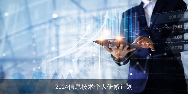 2024信息技术个人研修计划